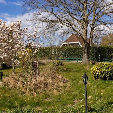 Holiday home Ferienhaus40 Blumenthal